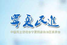 民進寧夏
